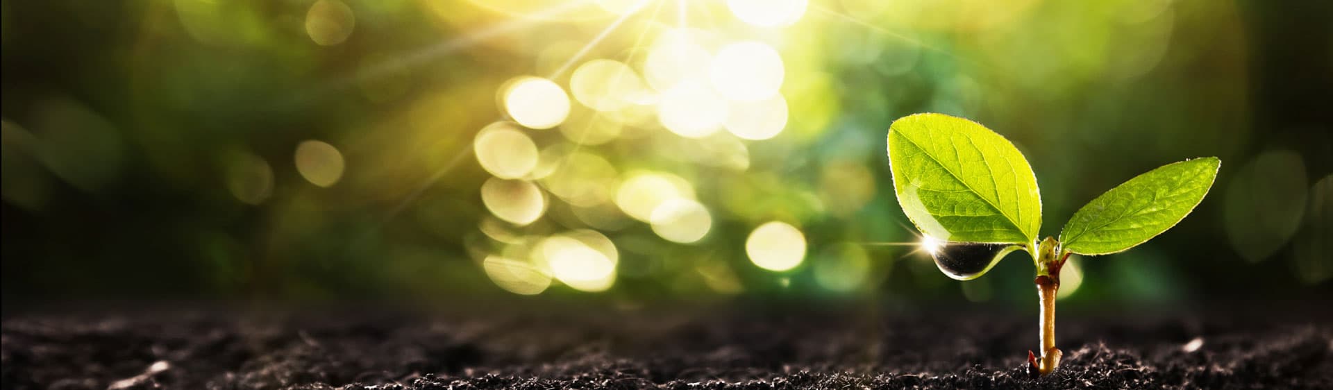 Le ayudamos a aprovechar la energía más eficiente y sostenible